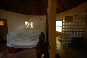 a bedroom with a bed with a mosquito net at Evergreen Eco Lodge Retreat in Tujering