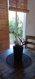 a potted plant sitting on a table in front of a window at Bella vista a las sierras in Merlo