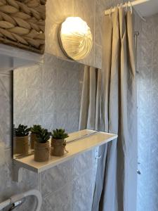 a bathroom with a shelf with potted plants and a light at Apartments Skako in Makarska