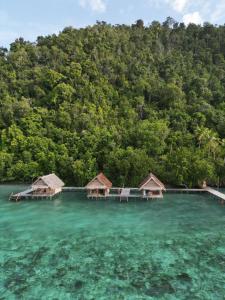 a group of overwater bungalows in the water at Terimakasih homestay in Pulau Mansuar