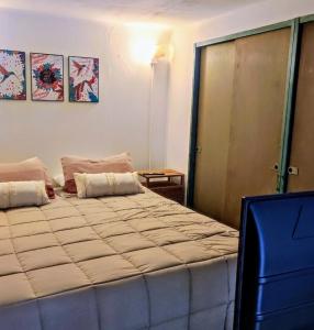 1 dormitorio con 1 cama grande en una habitación en Calle del Aire en Buenos Aires