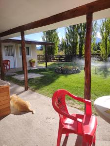 an orange cat laying on the ground next to a red chair at El viejo Boliche Apart in Baggle