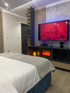 um quarto com uma cama e uma grande televisão na parede em SpaNish apartman em Niš
