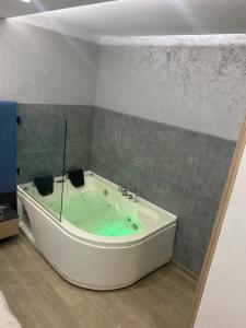 Fotografie z fotogalerie ubytování SpaNish apartman v destinaci Niš