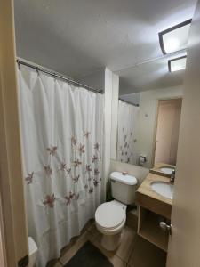 a bathroom with a toilet and a sink and a shower curtain at Departamento Laguna Vista Marina in Algarrobo