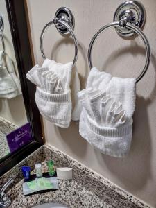 two towels are hanging on a towel rack in a bathroom at Sleep Inn in Fredericksburg