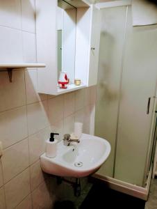 La salle de bains est pourvue d'un lavabo et d'une douche. dans l'établissement Apartement NICKY, à Florence