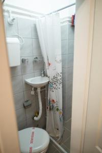 LazarevacにあるStan11550 Centarの小さなバスルーム(トイレ、シンク付)