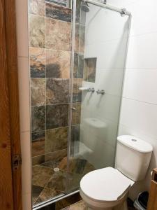 La salle de bains est pourvue de toilettes et d'une douche en verre. dans l'établissement 202S Encantador apartamento para ti!, à Ibagué