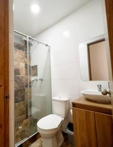 a bathroom with a toilet and a shower and a sink at 202S Encantador apartamento para ti! in Ibagué
