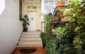 a hallway with stairs and plants in front of a door at Vila Ferdinand Modern Rooms In Tirana's Center in Tirana