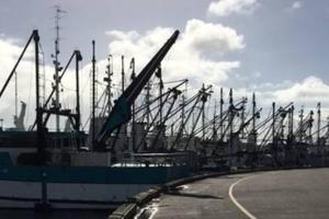 a largeockedocked boat with a bunch of flags on it at Port Lincoln Shark Apartment 3 in Port Lincoln