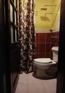 a bathroom with a toilet and a shower curtain at Hostal la nube in San Cristóbal de Las Casas