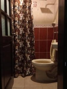 a bathroom with a toilet and a shower curtain at Hostal la nube in San Cristóbal de Las Casas