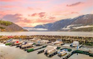 a group of boats parked in a marina on the water at Amazing Home In Vallavik With House Sea View in Vangsbygd