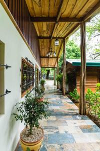 Zahrada ubytování Hacienda La Norma Boho Boutique Hotel