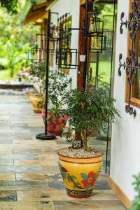 Aed väljaspool majutusasutust Hacienda La Norma Boho Boutique Hotel