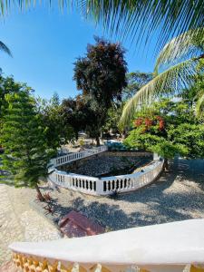 a park with a fountain with trees and a palm tree at Villa Marcia in Boca Chica