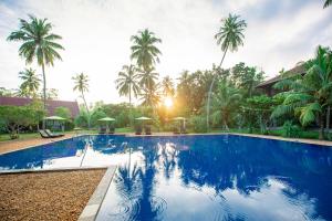 Bazén v ubytování Celestia Ayurveda Resort nebo v jeho okolí