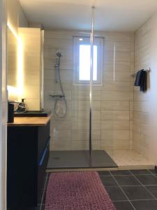 W łazience znajduje się prysznic ze szklanymi drzwiami. w obiekcie Appartement l'œil de Colmar w mieście Colmar +28 zdjęć