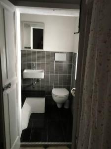 een kleine badkamer met toilet en wastafel bij Medieval terraced house in Vieste Vecchia in Vieste +14 foto's