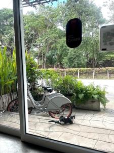 Une Jai Place เรือนอุ่นใจ外面的花园
