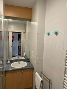 bagno con lavandino e specchio di Appartement vue sur mer proche Thalassothérapie a Quiberon