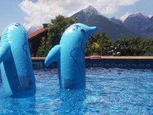 Deux dauphins bleus dans l'eau dans une piscine dans l'établissement Ferienhaus Maria´s Hoamatl, à Gallzein