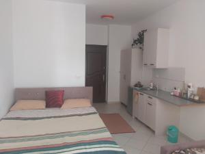a small kitchen with two beds in a room at Mona`s apartments 1 in Sarandë