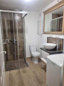 e bagno con doccia, servizi igienici e lavandino. di ODM&A apartment a Vilnius