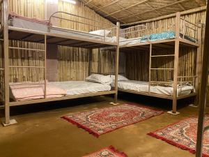 two bunk beds in a room with two rugs at Mystic Hive in Pushkar