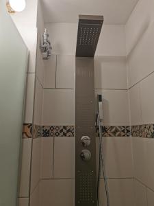 um chuveiro com uma porta de vidro na casa de banho em Wohnung Schluchseeglück mit Pool em Schluchsee