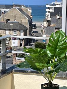 a plant on a balcony with a view of the beach at Grand studio Clémenceau Vue mer 3 étoiles in Pléneuf-Val-André