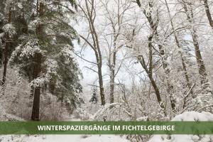 un bosque cubierto de nieve con árboles con las palabras variación de interés invernal en la rehabilitación en Die Fichtelsuite 1-6 Pers Ferienwohnung nahe Ochsenkopf Süd 800m in Fleckl, en Warmensteinach