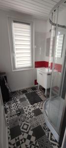 uma casa de banho com um chuveiro e um lavatório. em Chez Marie à 5kms de St Valery sur Somme em Pendé