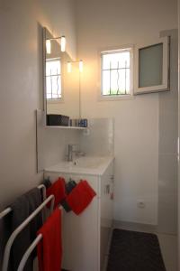 een badkamer met een wastafel en een spiegel bij Les carpes a limoges in Limoges