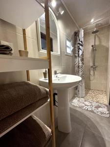 La petite salle de bains est pourvue d'un lavabo et d'une douche. dans l'établissement Ti Kaz Passion, à Saint-Pierre