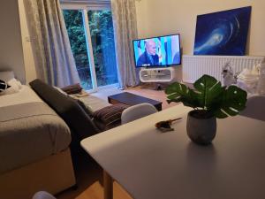 a living room with a couch and a table and a tv at Rent Unique the Otford modern home 1 bed with mezzanine in Crawley