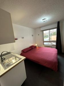 - une chambre avec un lit, un lavabo et une fenêtre dans l'établissement Les Logis de Paray Appartement n1, à Paray-le-Monial