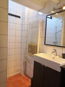 a bathroom with a sink and a mirror and a shower at Gîte Coquelicot in Gargas