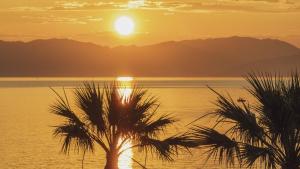 a sunset over the water with a palm tree at Domes Miramare, a Luxury Collection Resort, Corfu - Adults Only in Moraitika