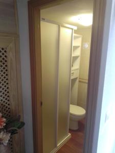 a bathroom with a toilet and a glass shower stall at Casa Rural La Pinara in La Adrada
