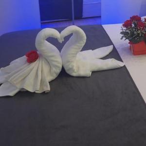 two white swans making a heart on a table at Holiday house Karla in Vela Luka