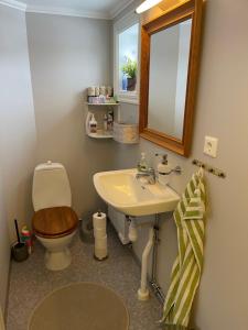a bathroom with a toilet and a sink and a mirror at Carina & Peters Place in Kristdala