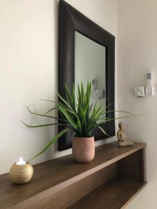 Kép Olive - HappyHostGr - Downtown Apartment szállásáról Vóloszban a galériában