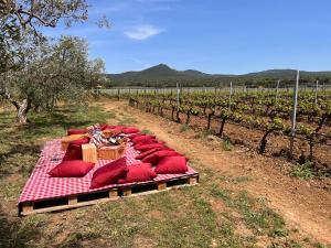 a bunch of red pillows on a bed in a vineyard at Mia Margot Suite Apartment in Castagneto Carducci