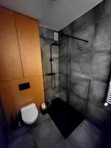 ein Bad mit einer Dusche und einem WC. in der Unterkunft Tatarska Sen Apartamenty in Przemyśl