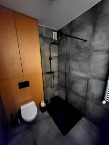 Un baño con ducha y WC. en Tatarska Sen Apartamenty, en Przemyśl