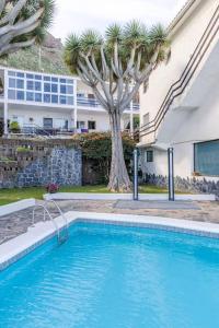 una piscina frente a un edificio con palmeras en Coastal Vista: retreat in nature, en Bajamar