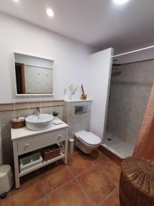 een badkamer met een wastafel, een toilet en een douche bij La Casita del Camino in Redondela